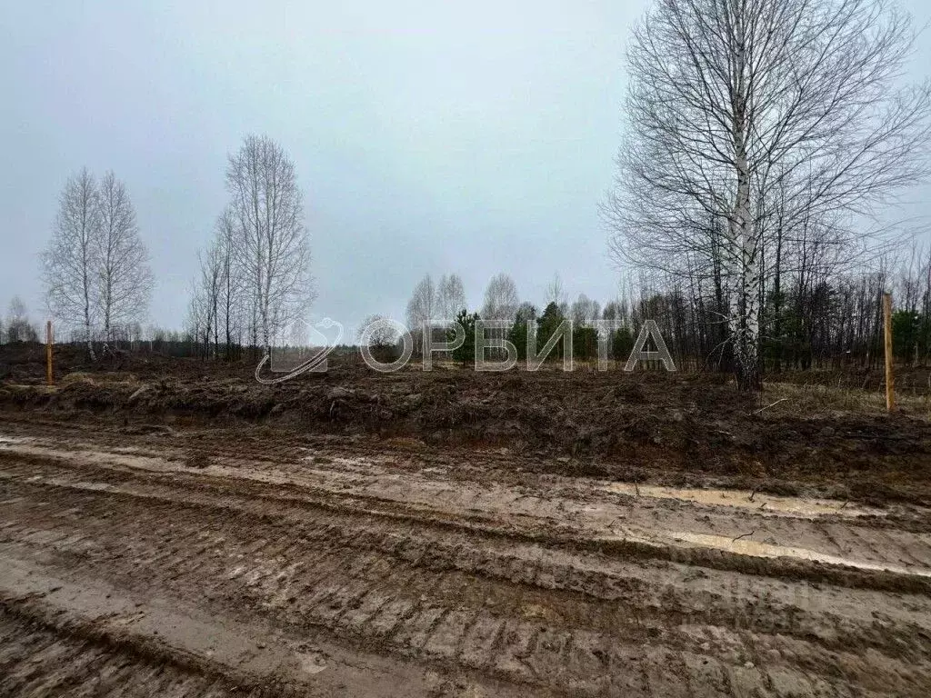 Участок в Тюменская область, Нижнетавдинский район, Березка СНТ 33/1 ... - Фото 0