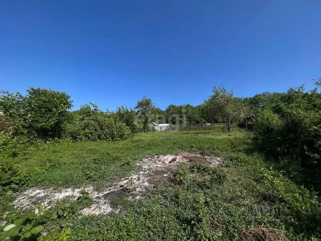 Участок в Краснодарский край, Новороссийск городской округ, пос. ... - Фото 1