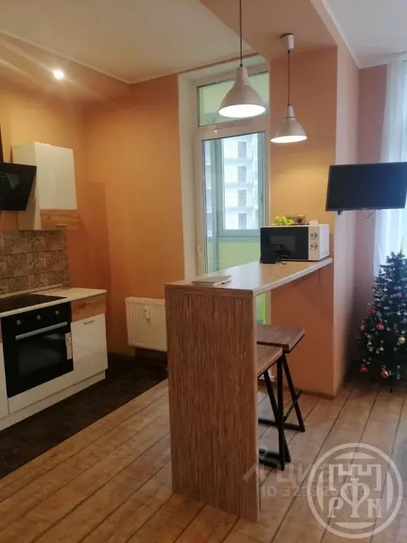 Студия Санкт-Петербург просп. Маршала Блюхера, 9к3 (26.9 м) - Фото 1
