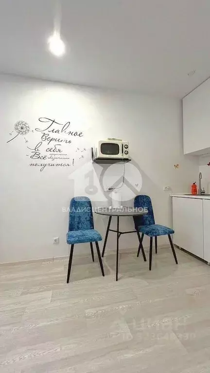 Студия Новосибирская область, Новосибирск Красный просп., 323 (23.3 м) - Фото 1