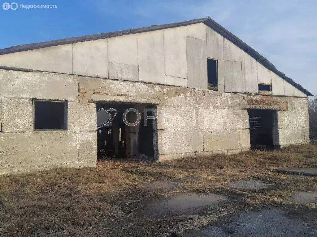 Участок в Тюменская область, Заводоуковский муниципальный округ, село ... - Фото 1