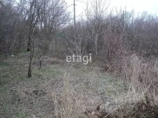 Участок в Краснодарский край, Ейск Лотос СНТ,  (5.0 сот.) - Фото 2