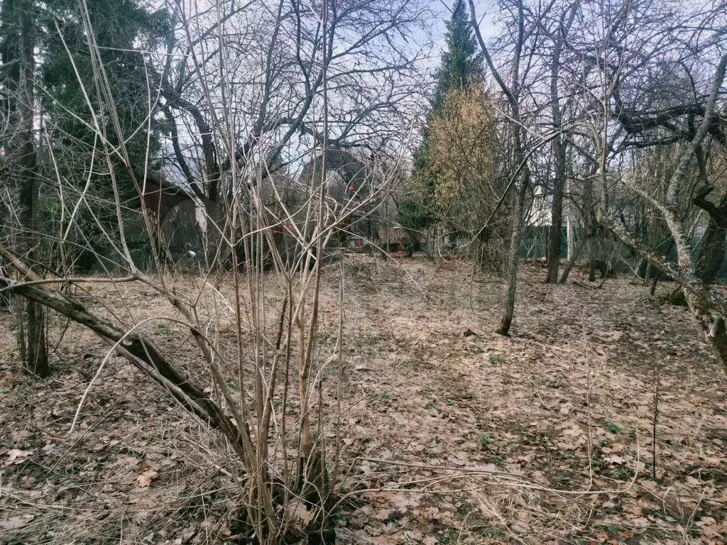 Участок 8 сот. (СНТ, ДНП) - Фото 0