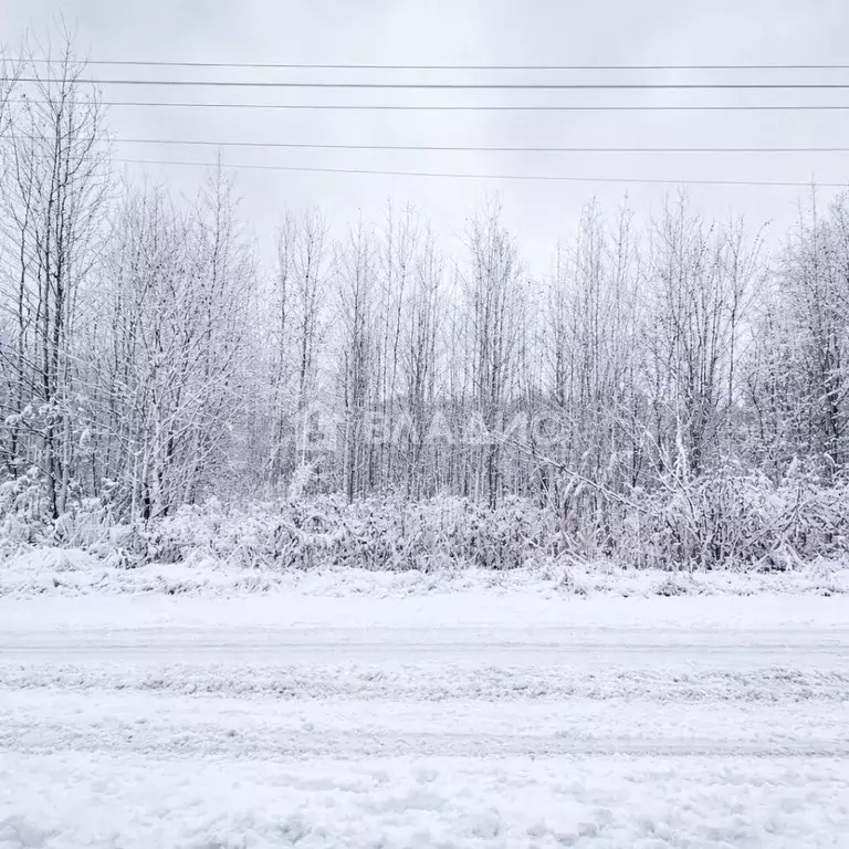 Участок в Ленинградская область, Всеволожский район, Агалатовское ... - Фото 1