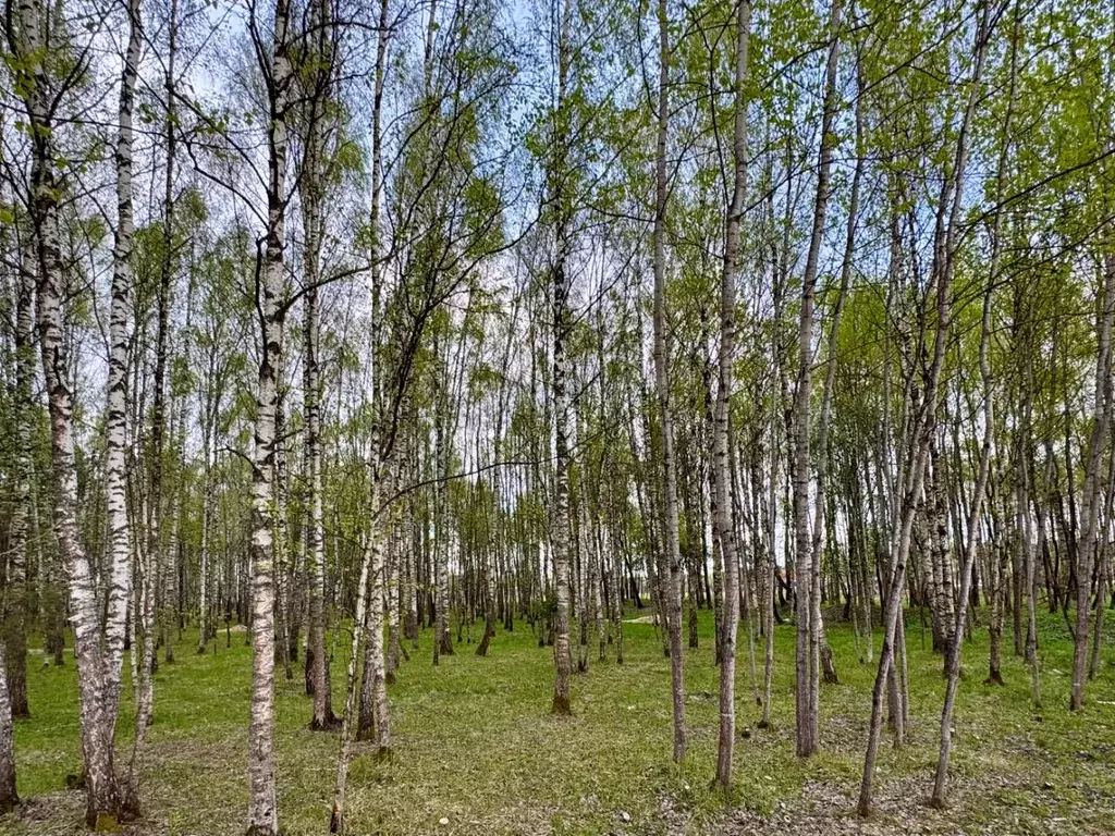 Участок в Московская область, Красногорск городской округ, д. ... - Фото 1