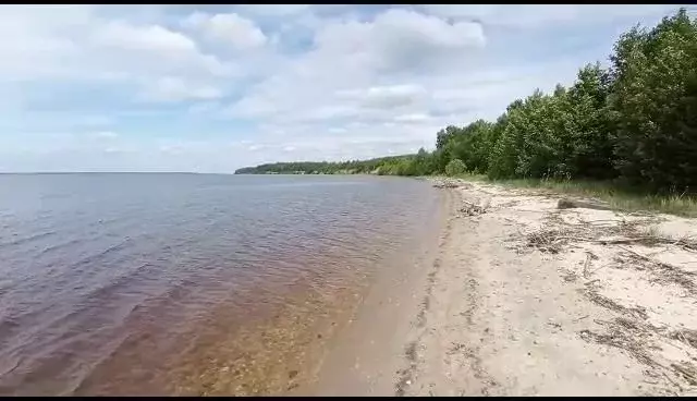 Участок в Нижегородская область, Городец  (40.0 сот.) - Фото 1