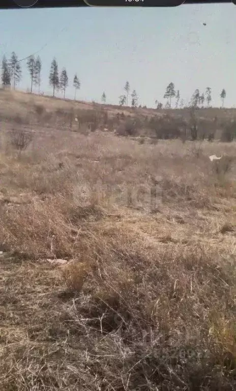 Участок в Бурятия, Иволгинский район, Сотниковское с/пос, с. ... - Фото 2