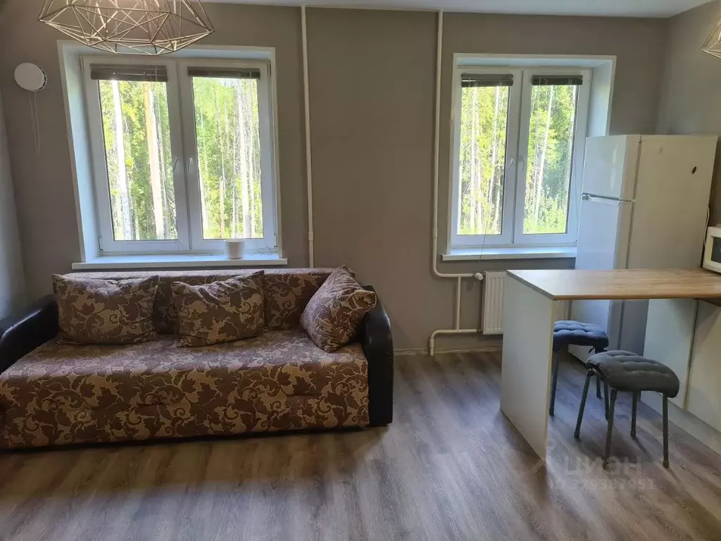 Студия Карелия, Петрозаводск проезд Вьюжный, 7 (33.0 м) - Фото 2