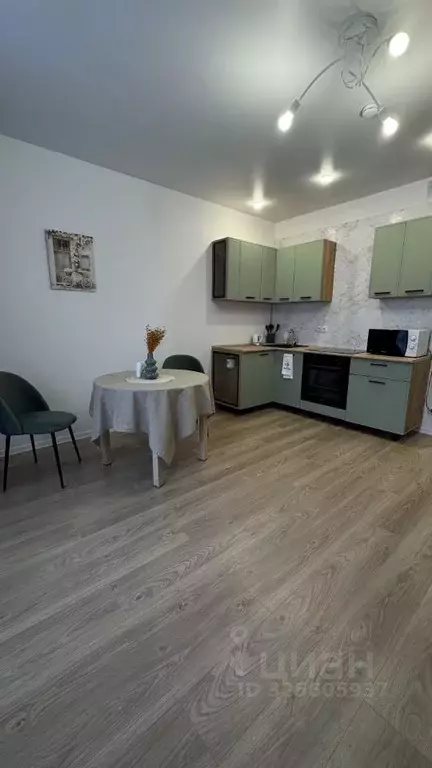 Студия Ленинградская область, Всеволожский район, д. Новое Девяткино ... - Фото 1