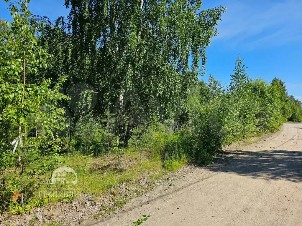 Участок 15 сот. (СНТ, ДНП) - Фото 1