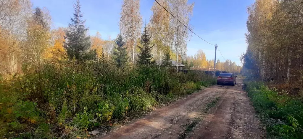 Участок в Пермский край, Пермский муниципальный округ, Садовый кв-л  ... - Фото 2