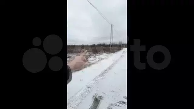 Участок 8 сот. (СНТ, ДНП) - Фото 1