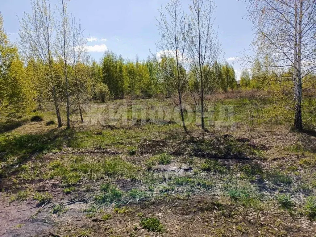 Участок в Новосибирская область, Новосибирск  (5.0 сот.) - Фото 0