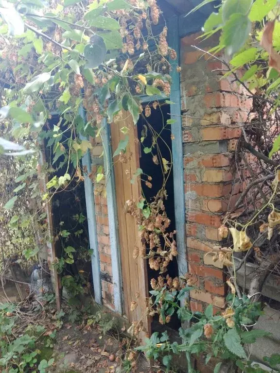 Дом в село Красный Яр, Новая улица (65 м) - Фото 0