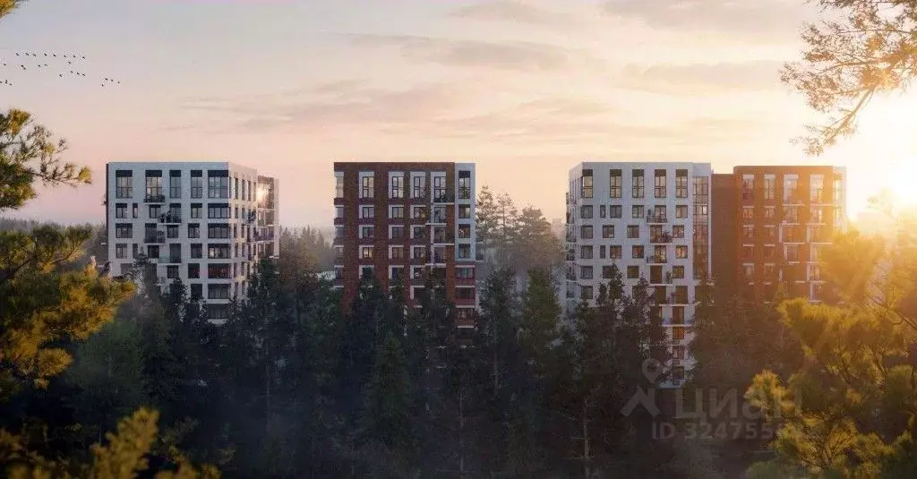 Помещение свободного назначения в Ленинградская область, Сертолово ... - Фото 2