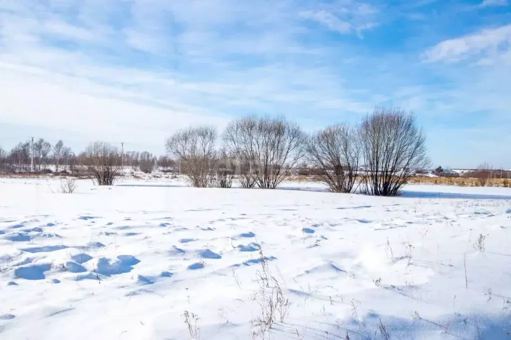 Участок в Иркутская область, Иркутский район, Хомутовское ... - Фото 0