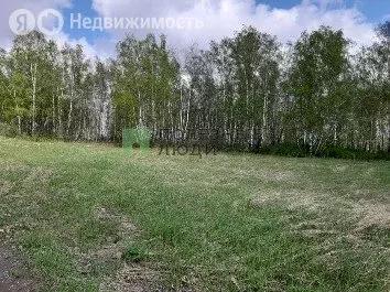 Участок в Емельяновский район, Элитовский сельсовет, садоводческое ... - Фото 1