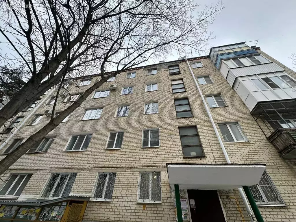 1-комнатная квартира: Ставрополь, Комсомольская улица, 46 (32 м) - Фото 1