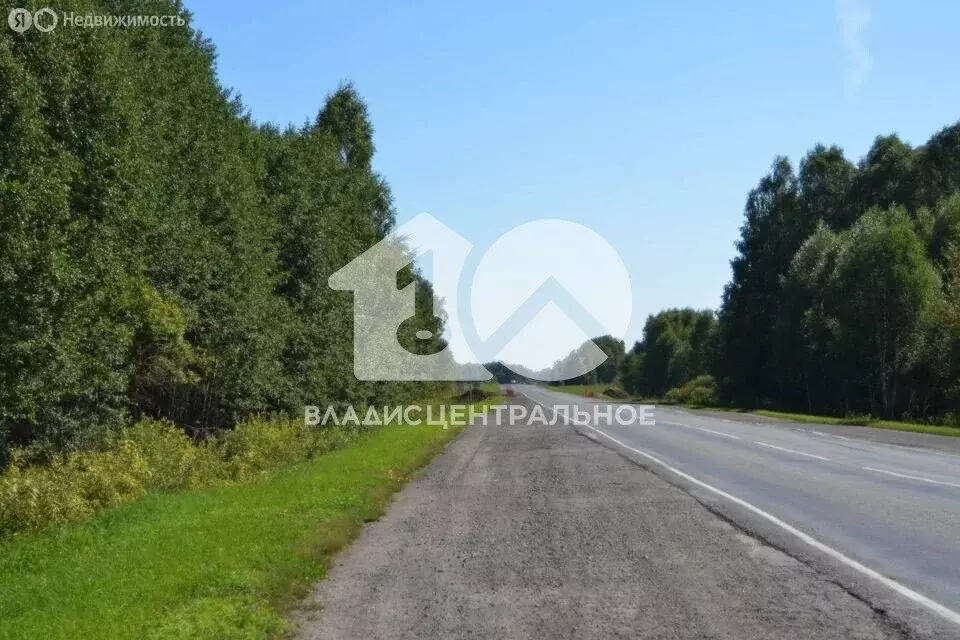 Участок в Чулымский район, Р-254 Иртыш, 1341-й километр (1300 м) - Фото 1