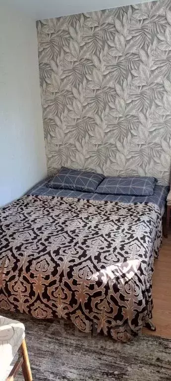 Студия Кировская область, Киров ул. Некрасова, 36 (25.0 м) - Фото 1