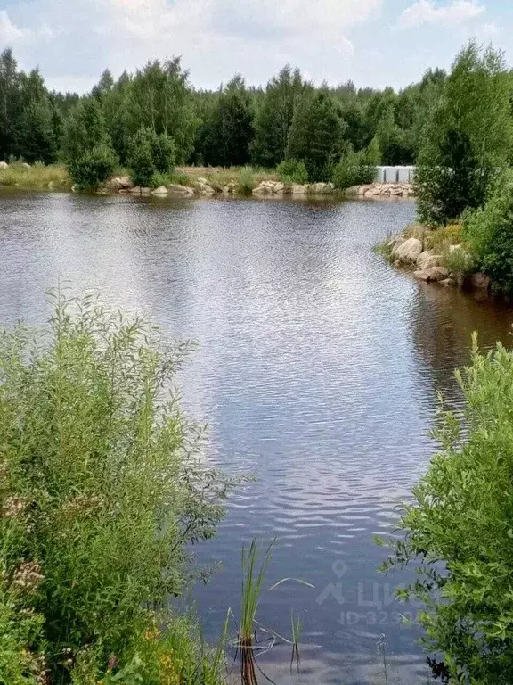 Участок в Свердловская область, Екатеринбург просп. Ленина (10.0 сот.) - Фото 1