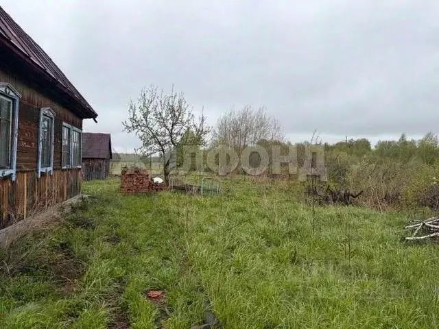Дом в Новосибирская область, Мошковский район, с. Новомошковское ... - Фото 2