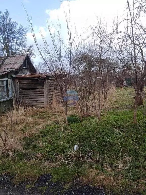 Участок в Калининградская область, Калининград Заря СНТ, ул. Лиловая ... - Фото 1