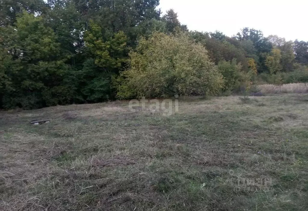 Участок в Белгородская область, Белгородский район, Тавровское с/пос, ... - Фото 0