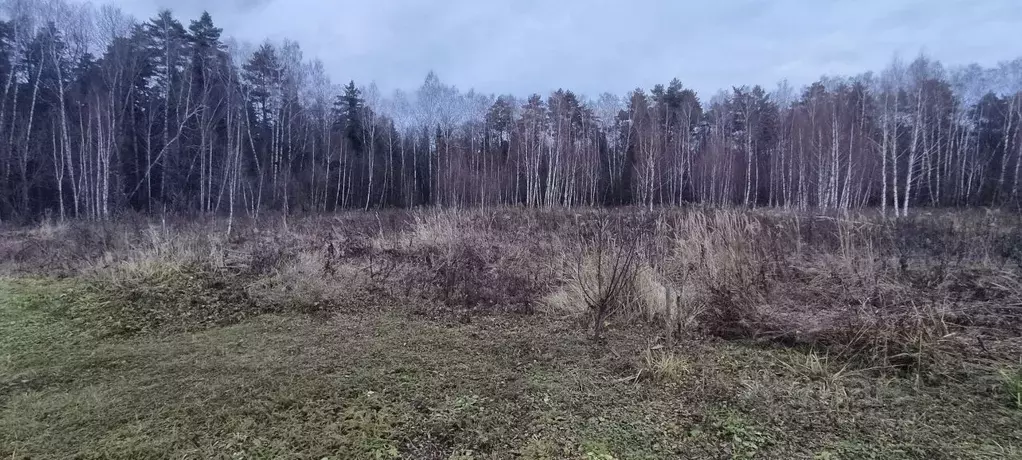 Участок в Московская область, Серпухов городской округ, д. Манишки  ... - Фото 0