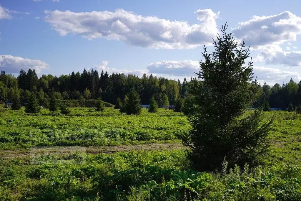 Участок в Московская область, Истра городской округ, Рига Фэмили кп ... - Фото 0