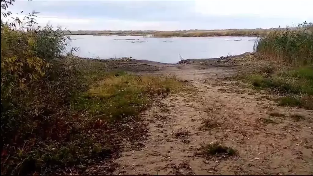 Участок в Саратовская область, Энгельсский район, Красноярское ... - Фото 0