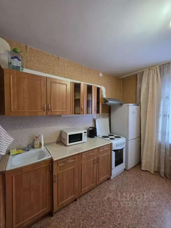 1-к кв. Санкт-Петербург Долгоозерная ул., 37к2 (36.0 м) - Фото 2