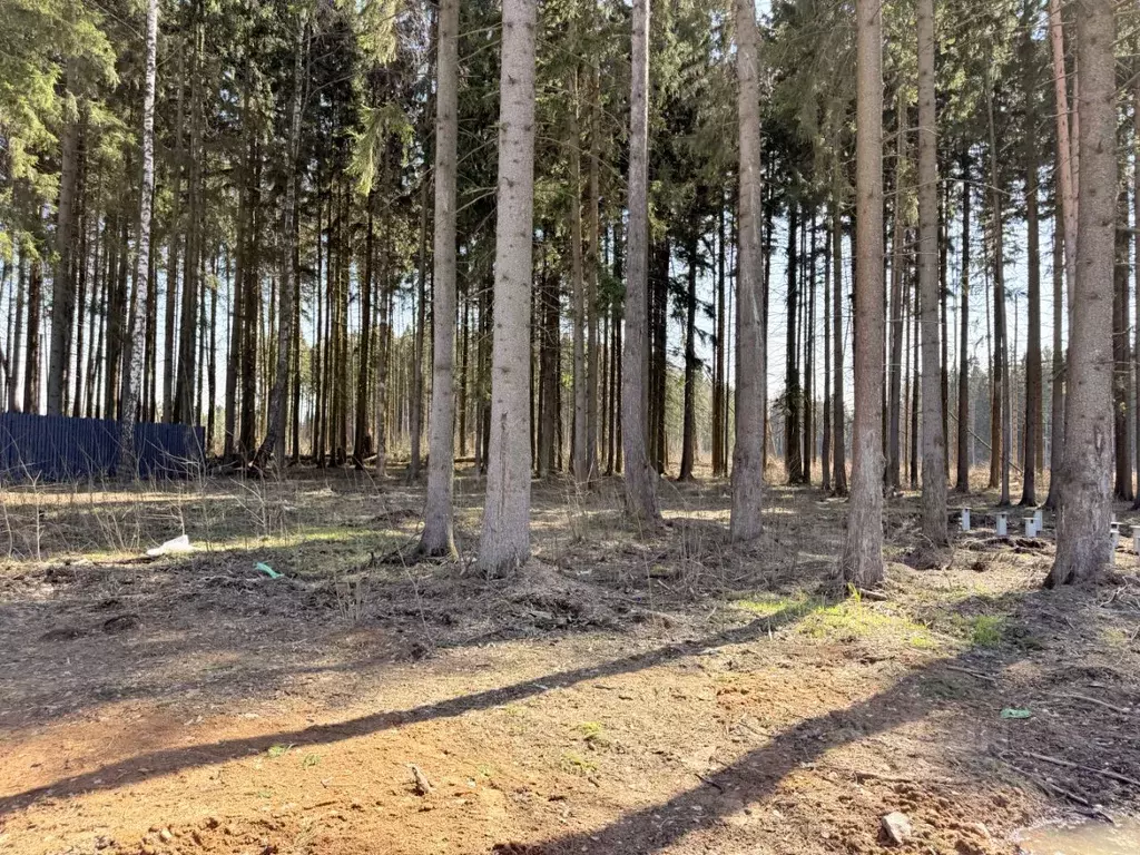 Участок в Московская область, Одинцовский городской округ, д. ... - Фото 1