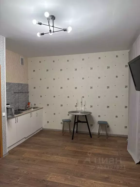 Студия Ленинградская область, Кировск Набережная ул., 19 (24.0 м) - Фото 1