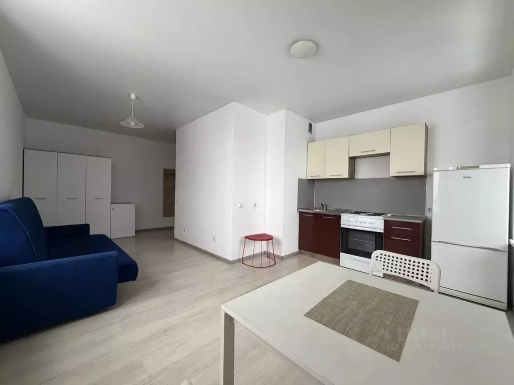 Студия Московская область, Хотьково Сергиево-Посадский район, ул. ... - Фото 1