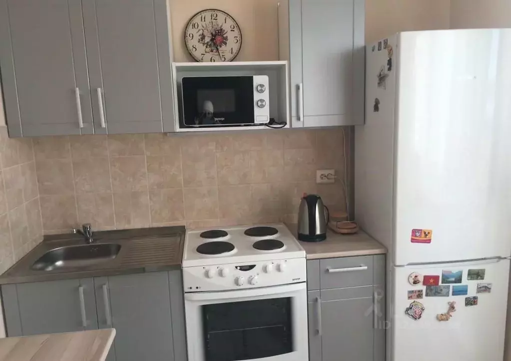 1-к кв. Новосибирская область, Новосибирск Красный просп., 305 (41.0 ... - Фото 1