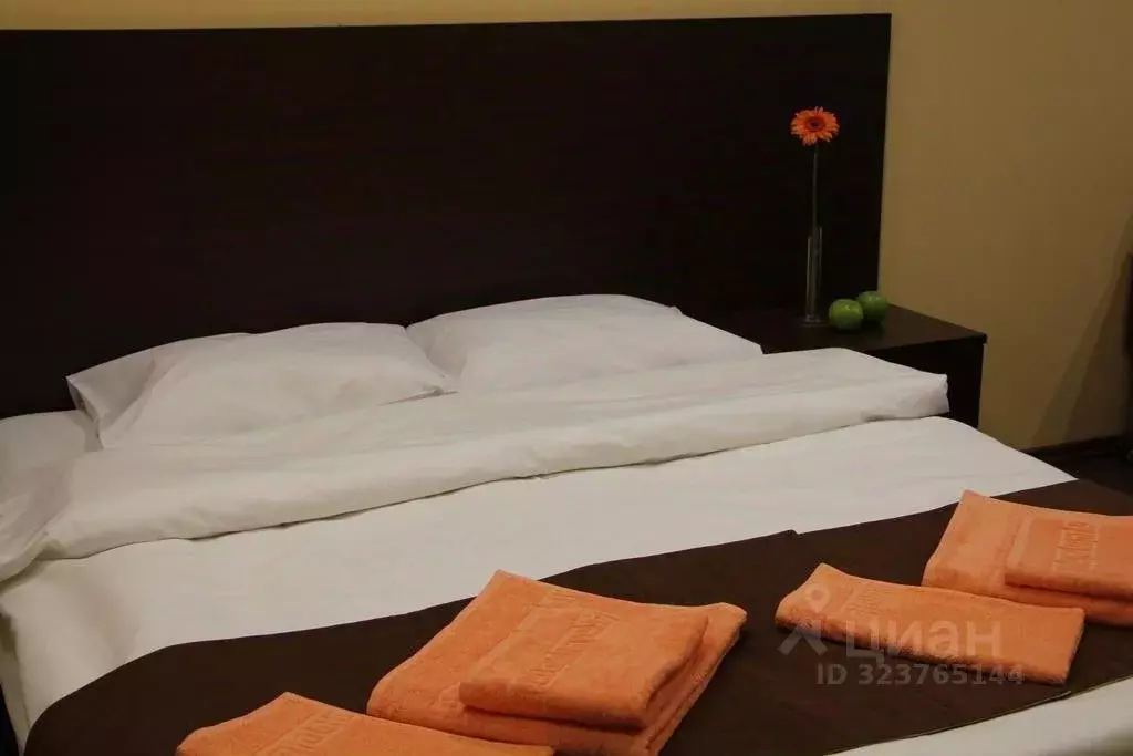 Комната Владимирская область, Владимир Большая Нижегородская ул., 17 ... - Фото 1