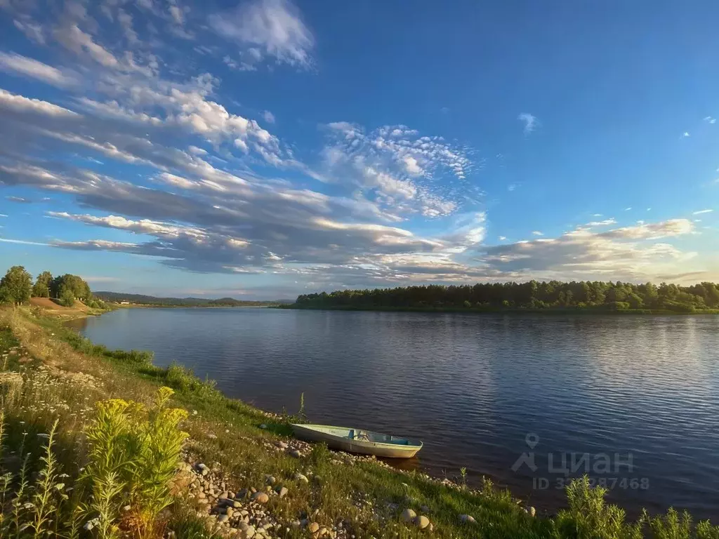 Участок в Алтай, Турочакский район, с. Дмитриевка  (19.65 сот.) - Фото 1