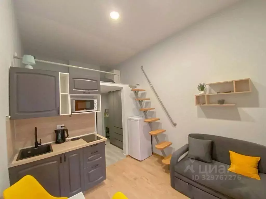 Студия Санкт-Петербург Кузнечный пер., 14б (22.0 м) - Фото 1
