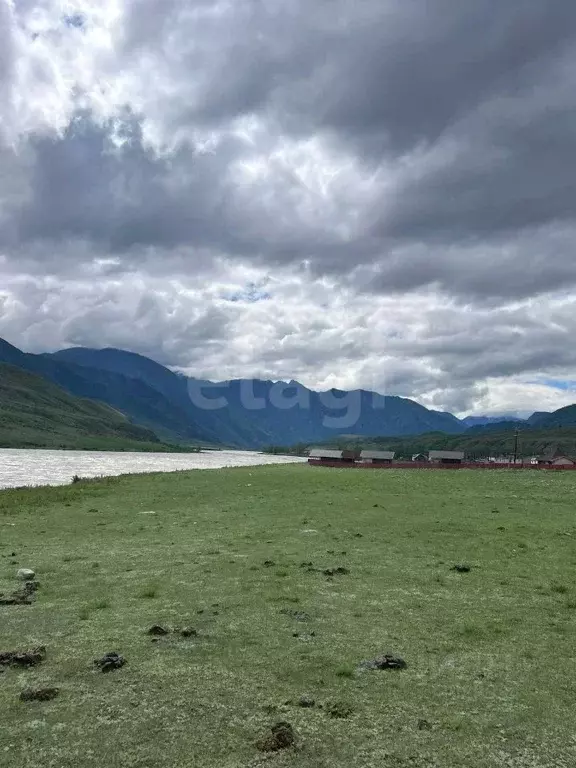 Участок в Алтай, Онгудайский район, с. Инегень ул. Николая Колхиновича ... - Фото 1