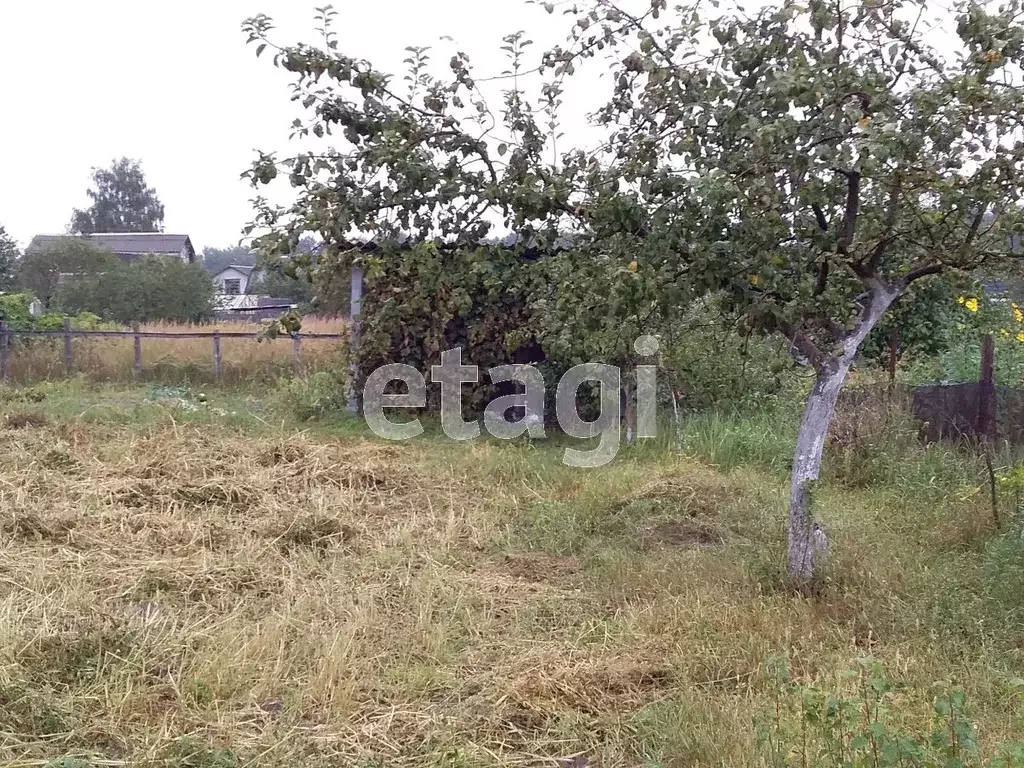 Купить Дачу В Новые Дарковичи Брянской Области