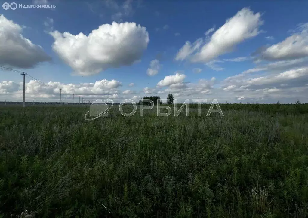 Участок в Свердловская область, посёлок городского типа Тугулым (15.3 ... - Фото 1