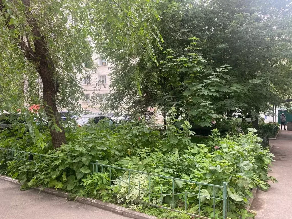1-к кв. Татарстан, Казань ул. Вишневского, 51/1 (32.1 м) - Фото 1