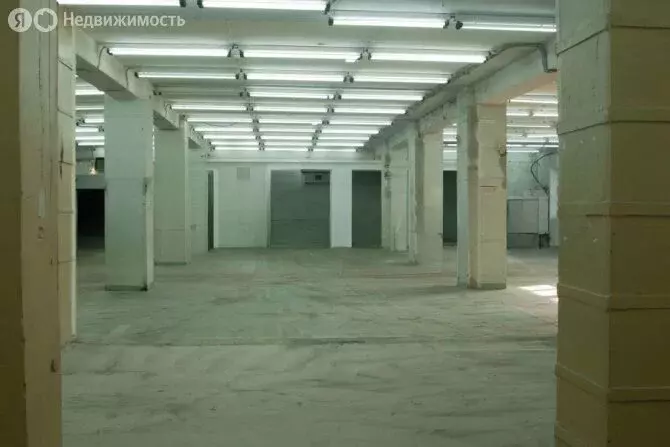 Помещение свободного назначения (650 м) - Фото 1