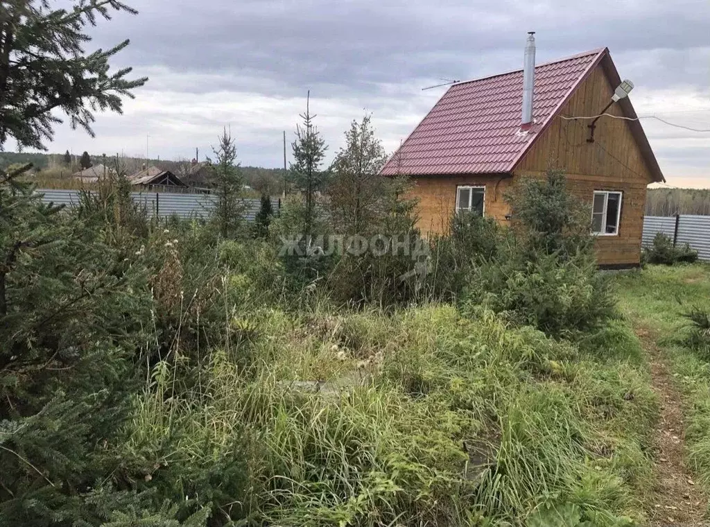 Дом в Новосибирская область, Черепановский район, с. Новошмаково ул. ... - Фото 1