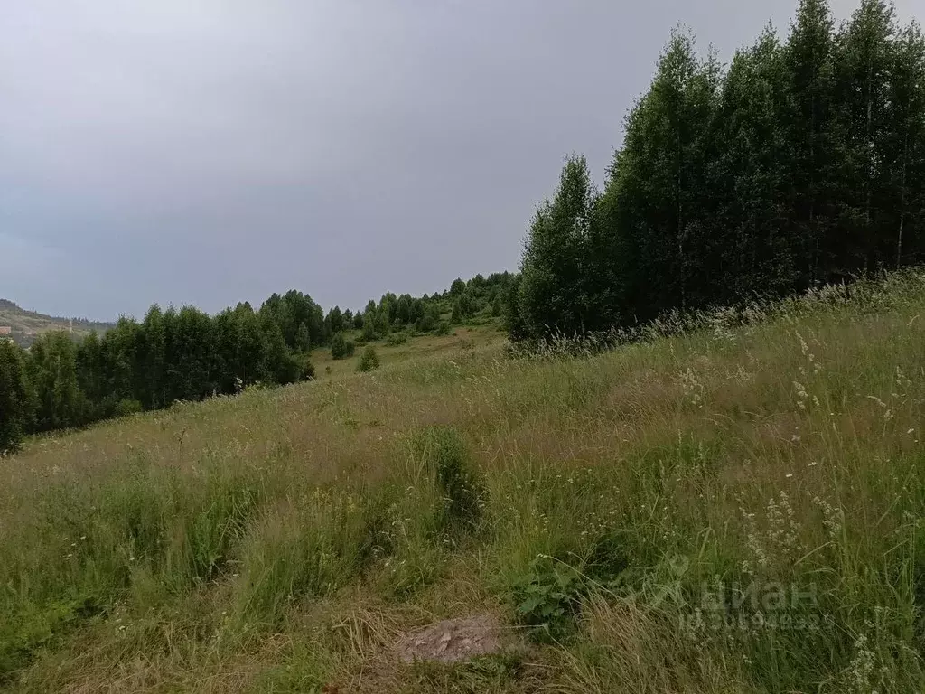 Участок в Кемеровская область, Таштагол  (15.0 сот.) - Фото 0