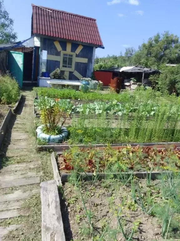 Участок в Хабаровский край, Комсомольск-на-Амуре Ключевое садовое ... - Фото 1
