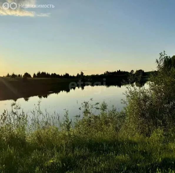 Дом в Пермский край, село Берёзовка (33.2 м) - Фото 1