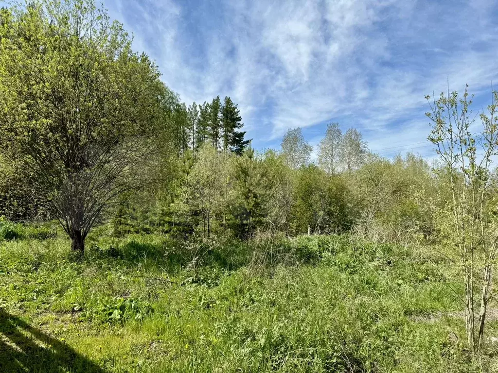 Участок 8 сот. (СНТ, ДНП) - Фото 0