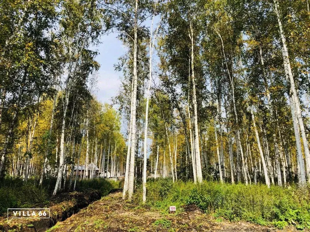 Участок в Свердловская область, Сысертский городской округ, пос. ... - Фото 0